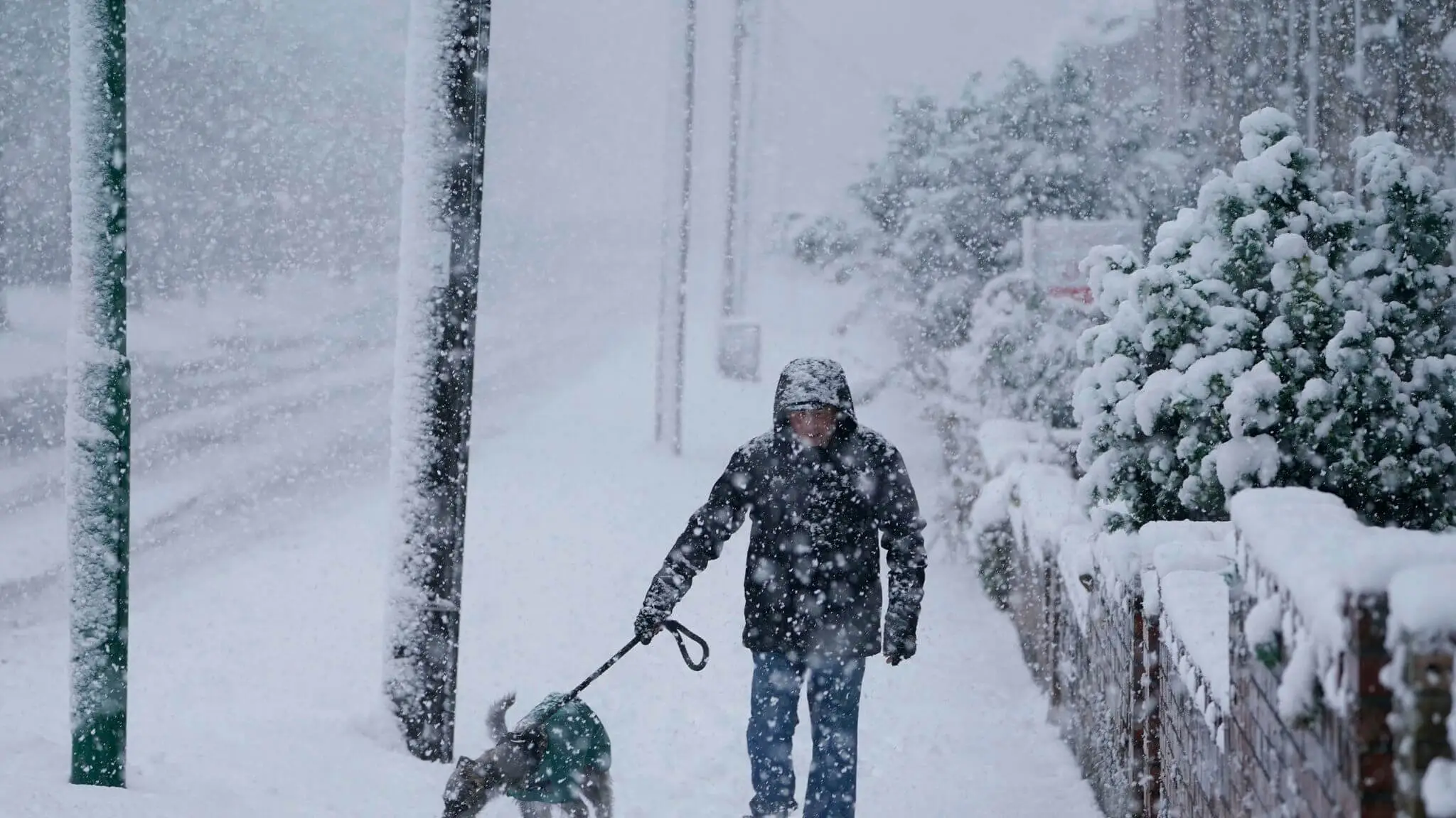 Snow Day Calculator Global